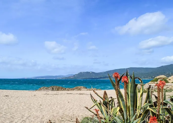 Gorgeous In * Propriano (Corsica)